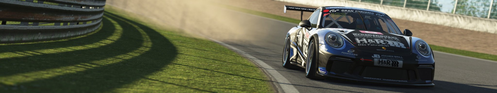 0 rF2 PORSCHE 911 GT3 CUP at SALZBURGRING copy.jpg