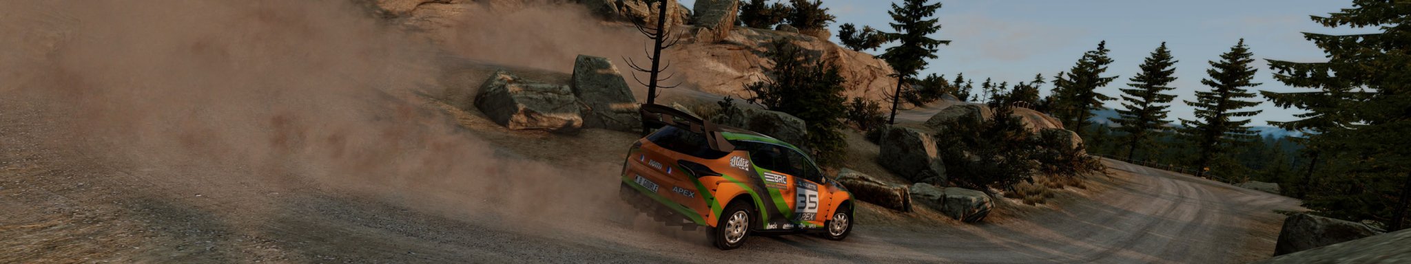 1 BeamNG RALLY CAR copy.jpg