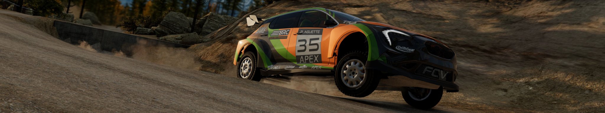 3 BeamNG RALLY CAR copy.jpg