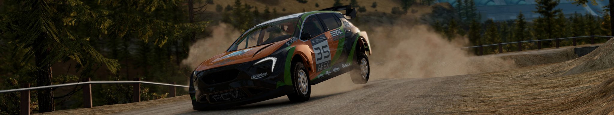 4 BeamNG RALLY CAR copy.jpg