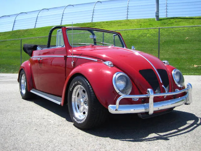 63_vwbeetle_newman.jpg