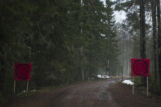 a-snow-less-section-of-road-at-rally-sweden-2016-which-was-beset-by-usually-mild-weather.jpg