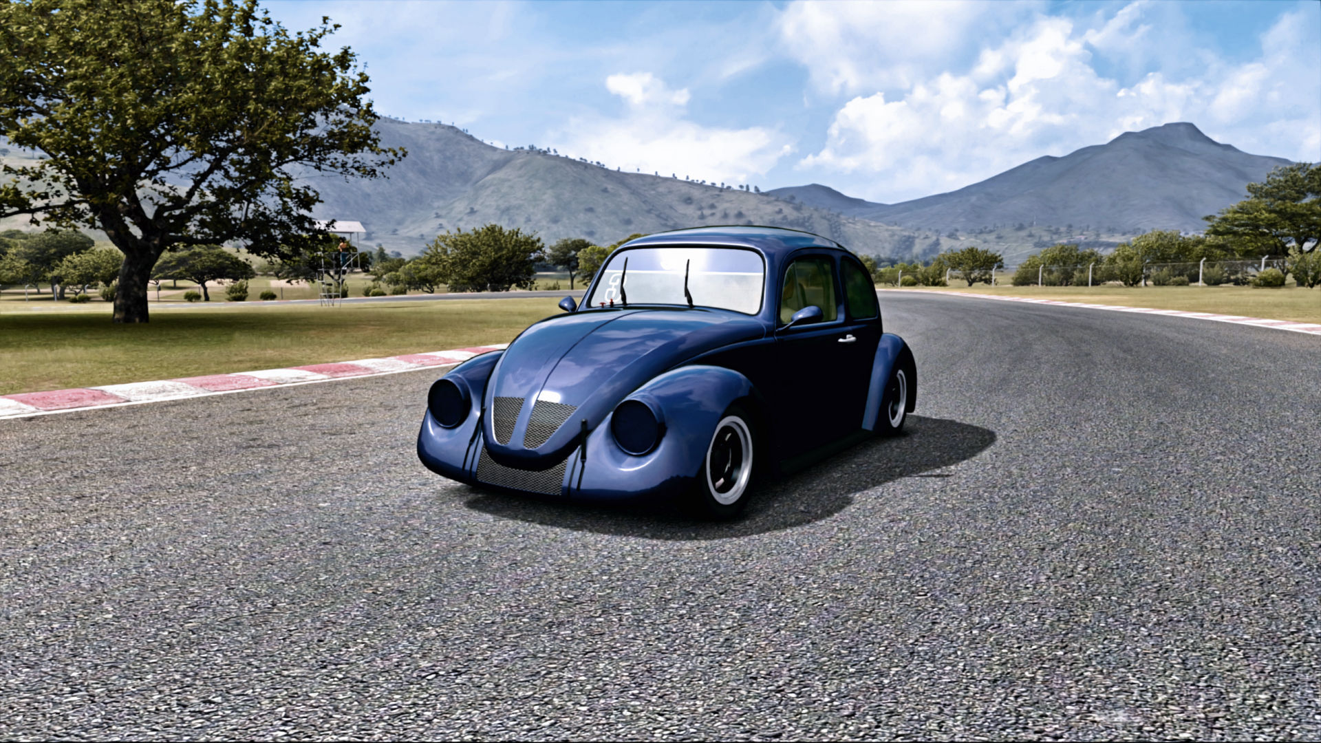 Beetle Ecuador.jpg