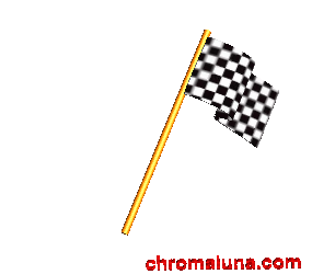 Checkerd_Flag-1.gif