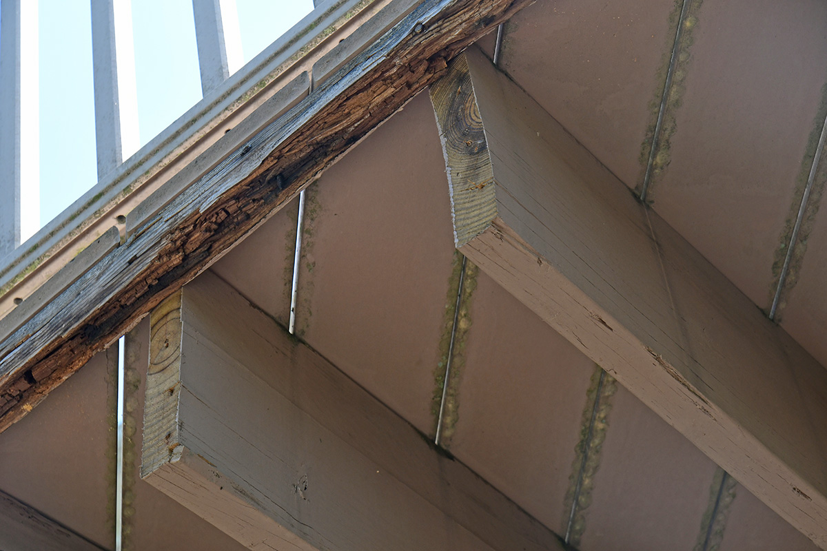 GoodJoists_9157.jpg