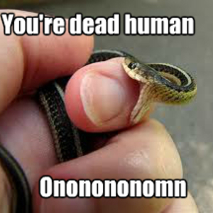 happy-little-snake_fb_1849317.jpg