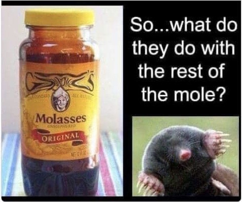 mole asses.jpg