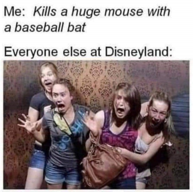 mousedie.jpg