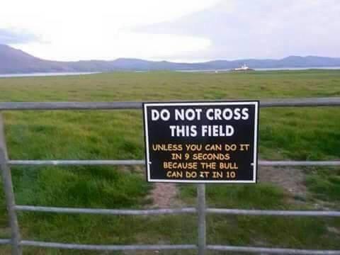 Only in Ireland.jpg