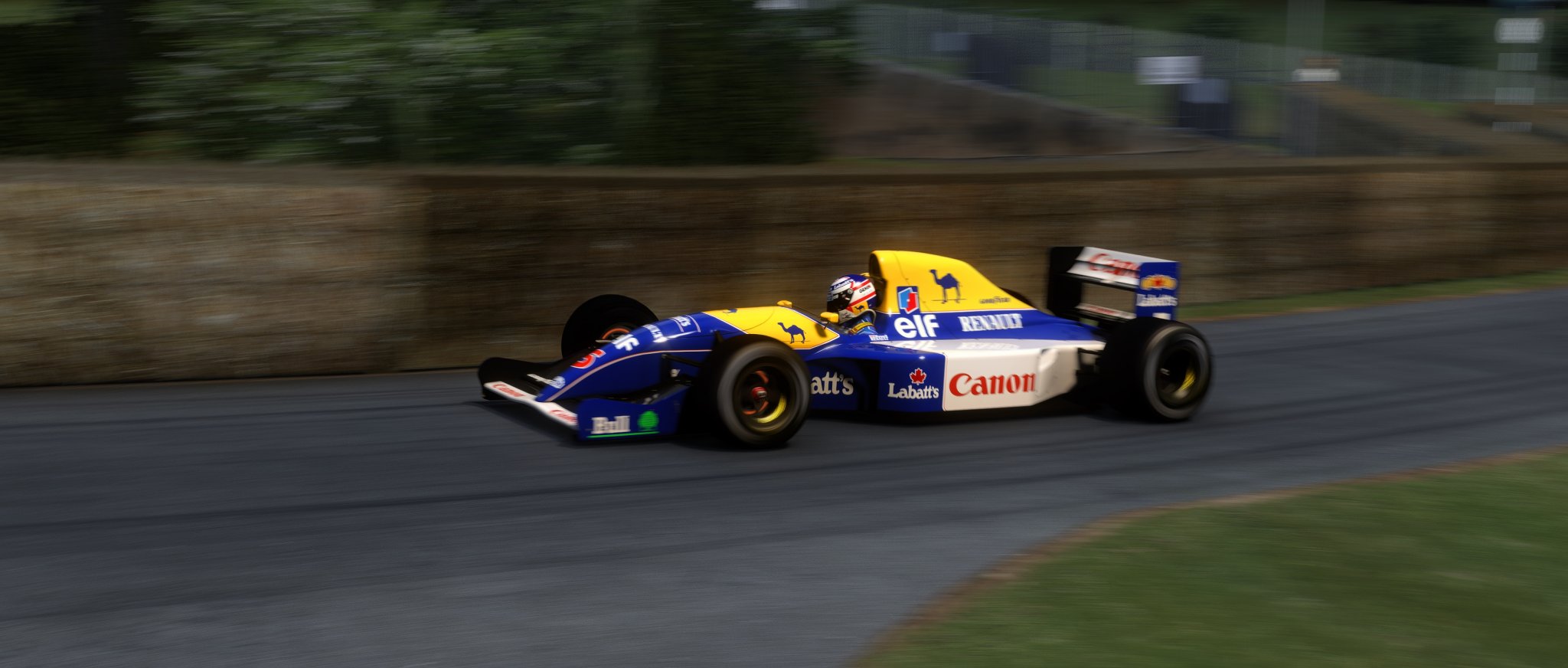 Screenshot_asr_1991_williams_fw14_g333_goodwood_hillclimb_24-5-122-19-31-41.jpg