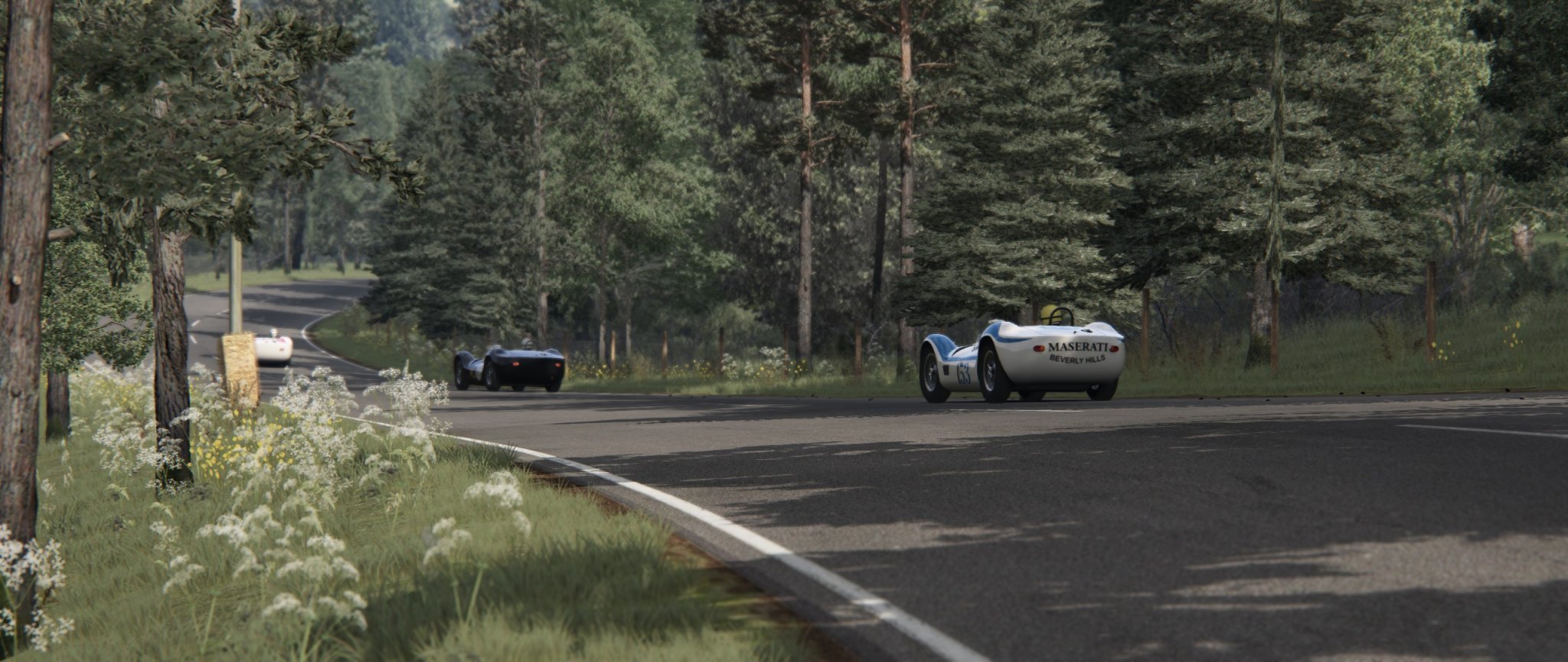 Screenshot_birdcage_battenbergring_18-3-122-9-47-47.jpg