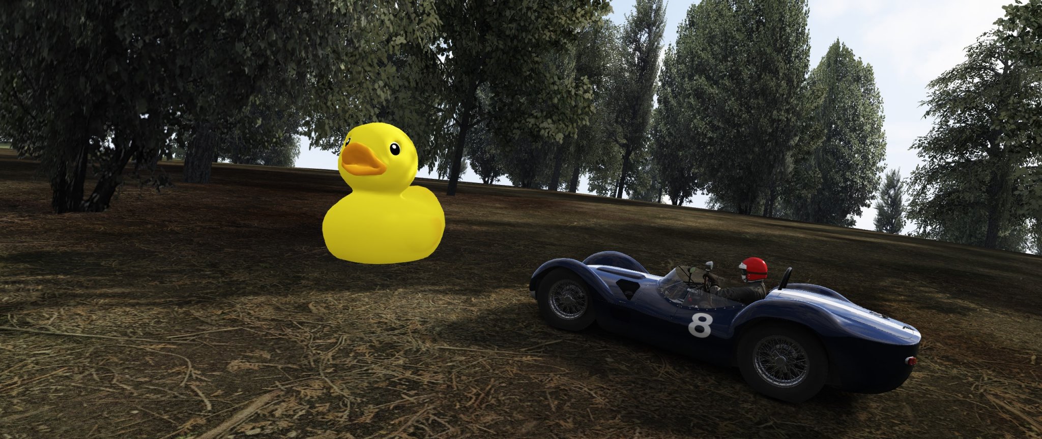 Screenshot_birdcage_battenbergring_21-6-122-15-1-50.jpg