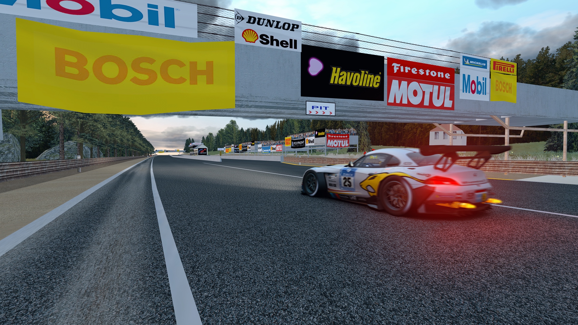 Screenshot_bmw_z4_gt3_el capitan_21-11-120-23-43-1.jpg