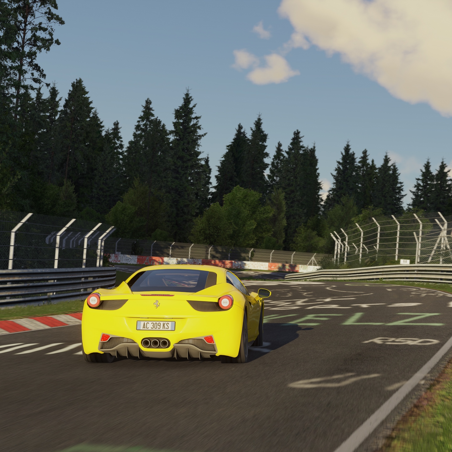 Screenshot_ferrari_458_ks_nordschleife_28-5-124-22-20-18.jpg