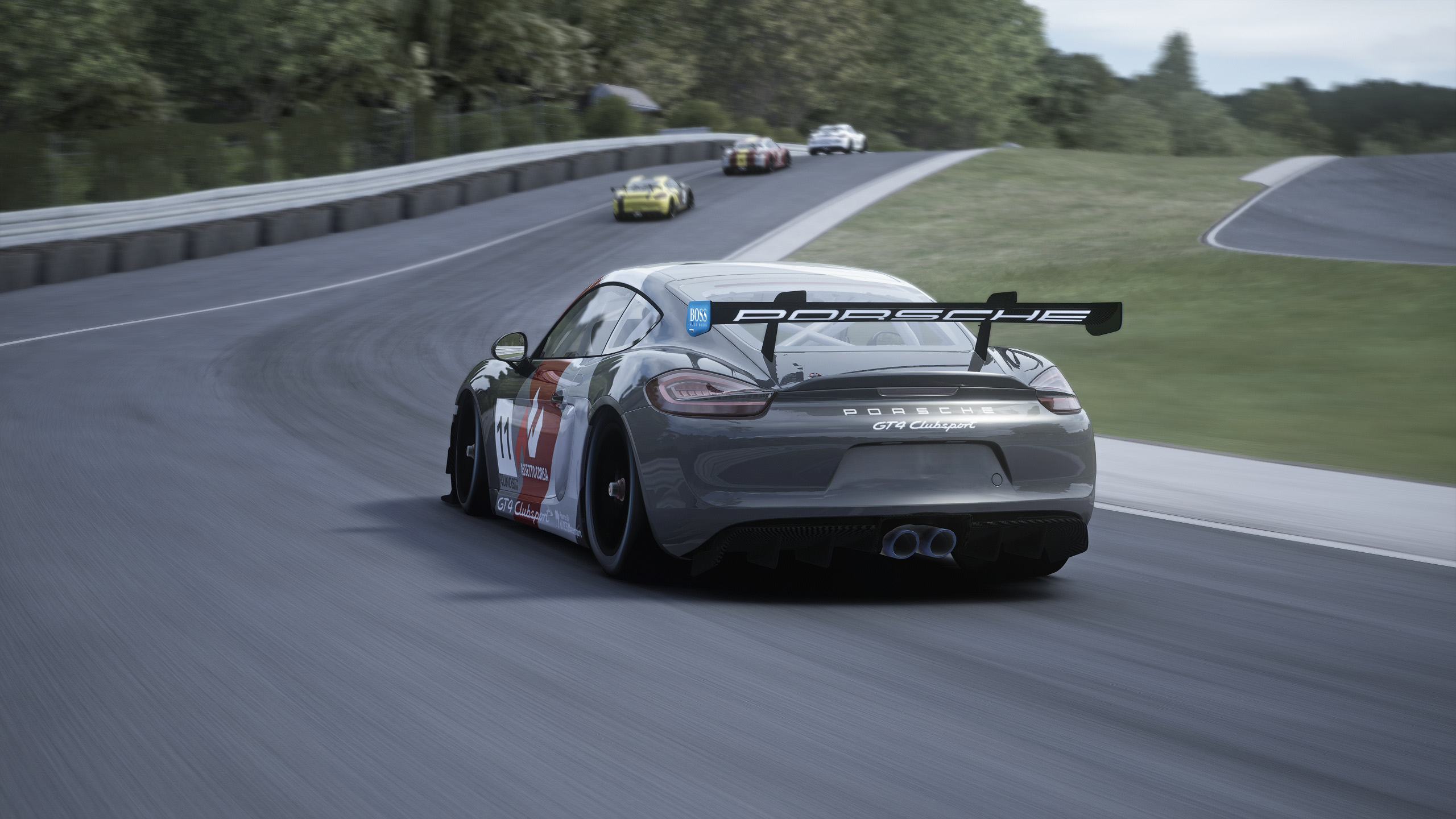 Screenshot_porsche_cayman_supercup_rt_lime_rock_park_8-7-121-18-9-32.jpg