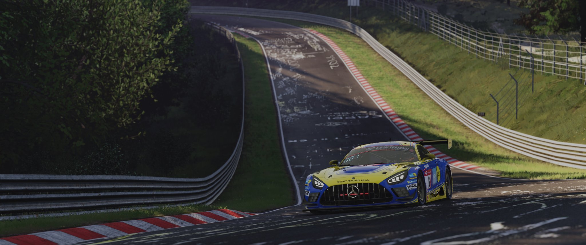 Screenshot_rss_gtm_mercer_v8_ks_nordschleife_25-6-124-17-11-12.jpg