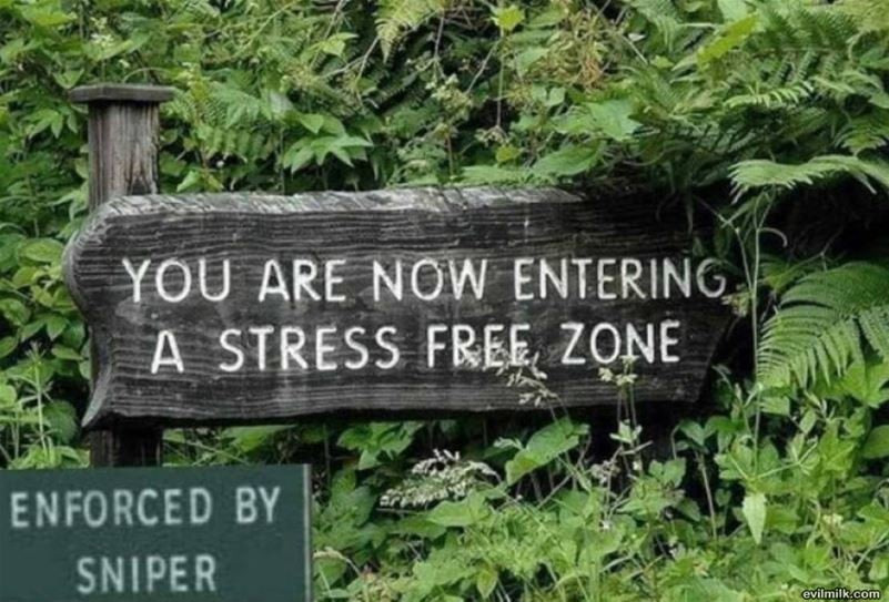 stressfreezone.jpg