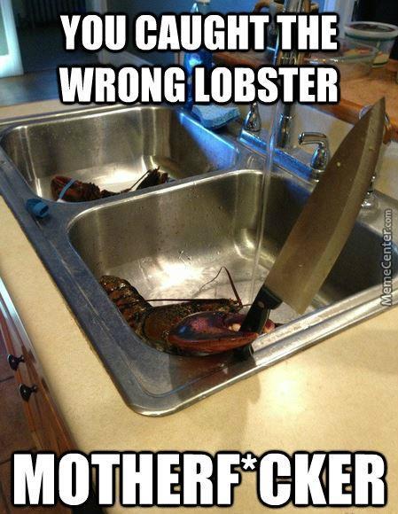 the-wrong-lobster_o_3687721.jpg