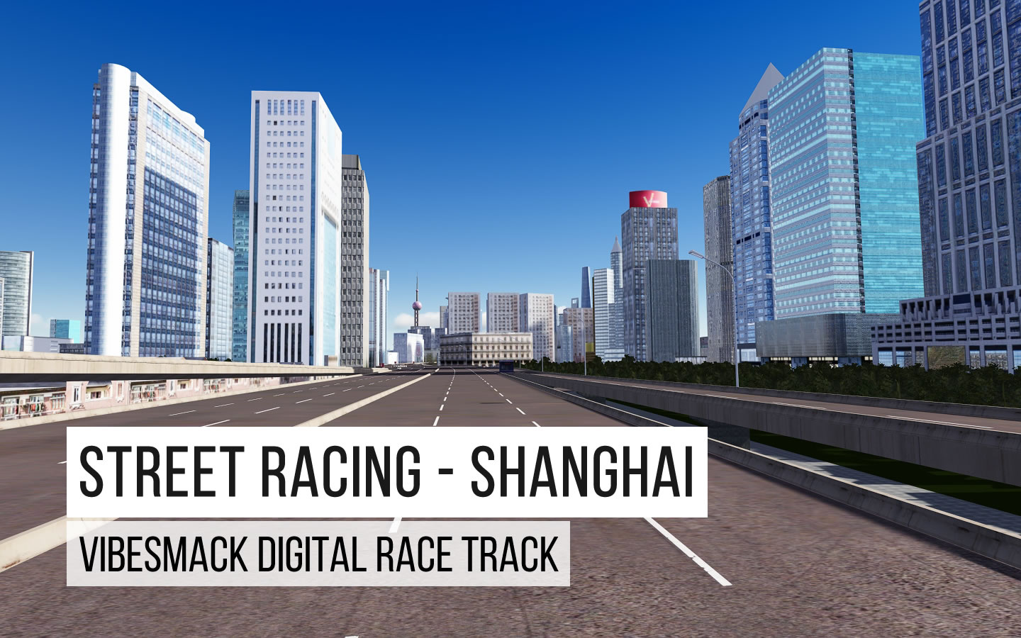 vibesmack_street_racing_shanghai_expressway.jpg