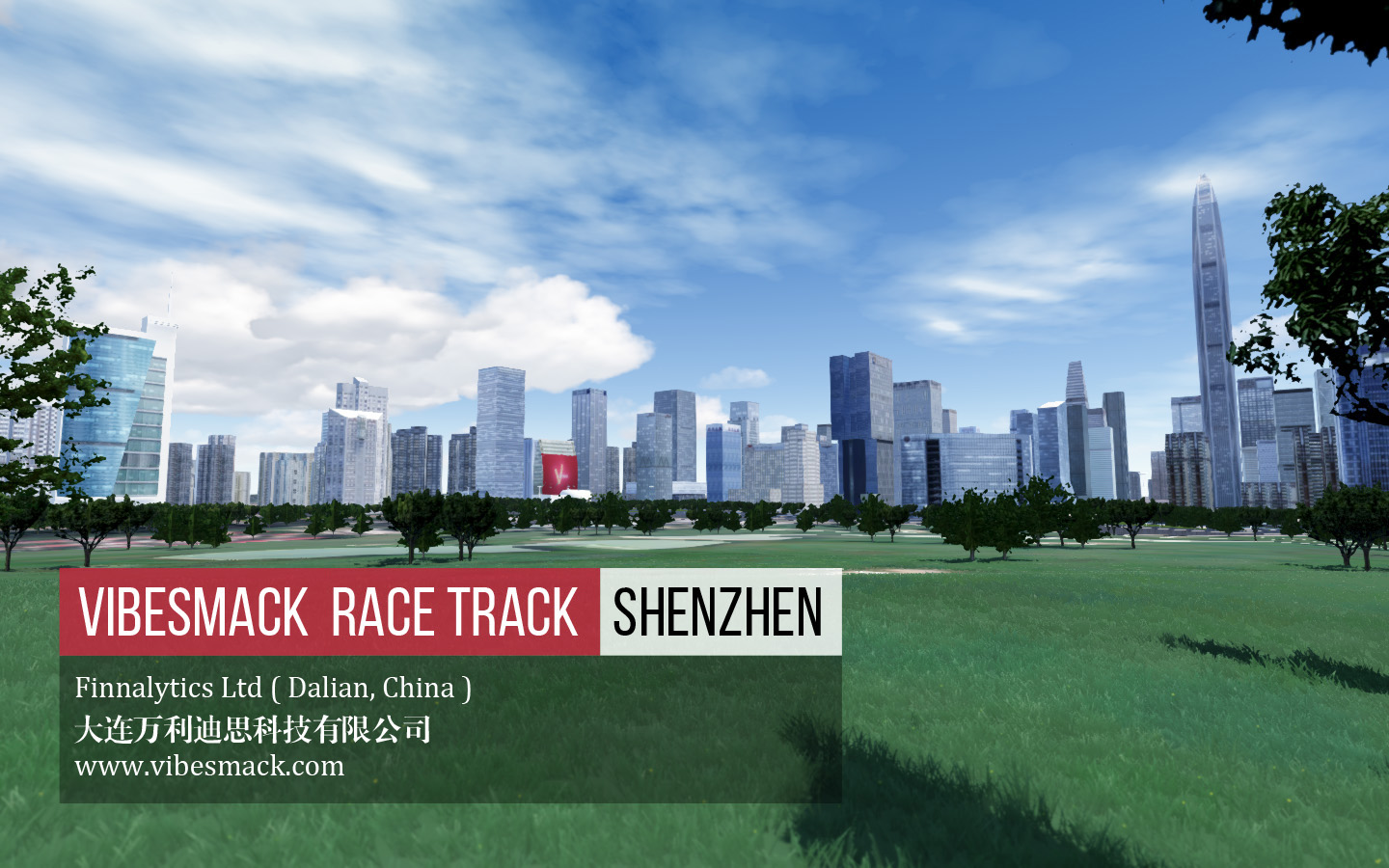 vibesmack_street_racing_shenzhen.jpg