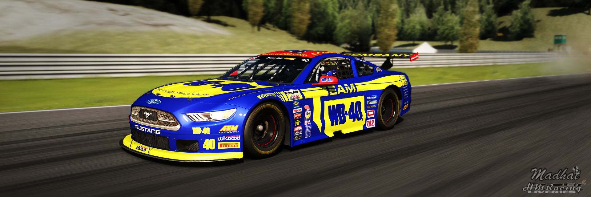 WD 40 VRC TA2 Mustang ARRS  Madhat HMRacing Liveries 04_3.1.1.jpg