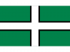 Devon flag.png