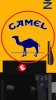 TR Camel  lotus 100t.jpg