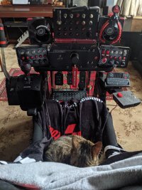 45 - kitty at the helm.jpg