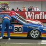 1995 Winfield Triple Challenge - 5L Group A Touring car and track skin pack