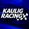 Kaulig Racing 2024 #16 & #13 NASCAR Cup Series Chevrolet Camaro ZL1 | AssettoNASCAR NextGen