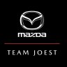 Mazda RX-Vision GT3 2025 WEC Skin (Fantasy)