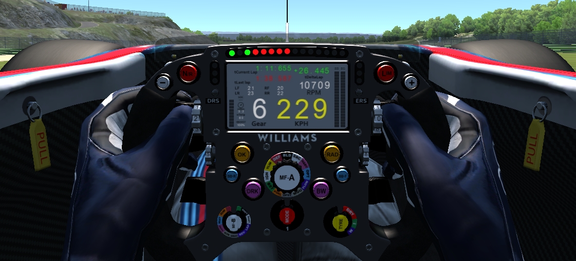 williams-steering-wheel-jpg.190608