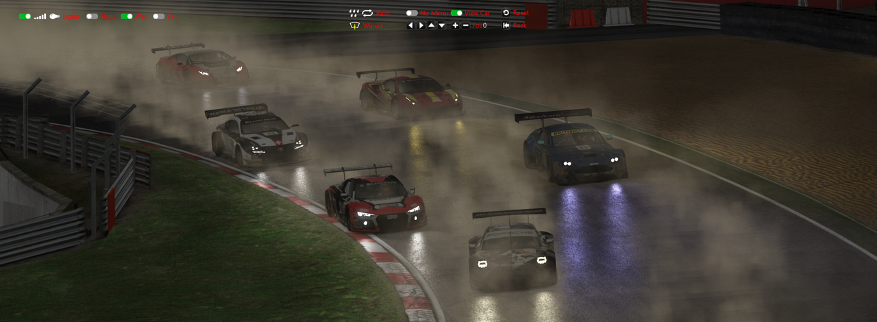 brands_hatch_wet_curbs.png