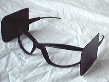 Scheuklappenbrille.jpg