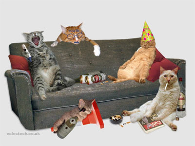 party-cats-drunk.jpg