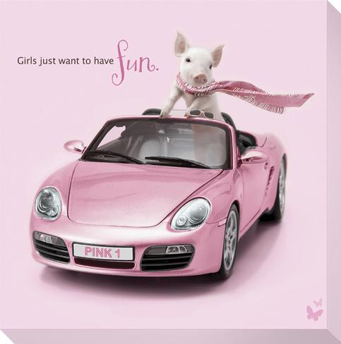 in-the-pink-porsche-pig-2.jpg