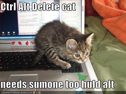 funny-pictures-ctrl-alt-del-kitten%5B5%5D.jpg