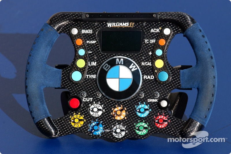 f1-british-gp-2004-williams-bmw-steering-wheel.jpg