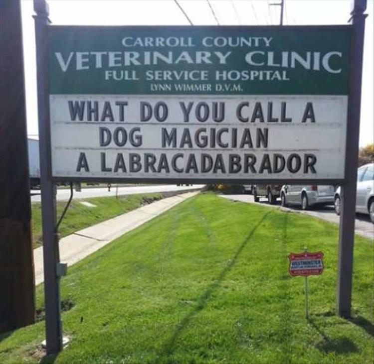 vet-signs-2.jpg