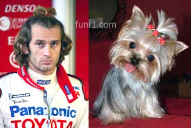 jarno-trulli-yorkshire-dog.jpg