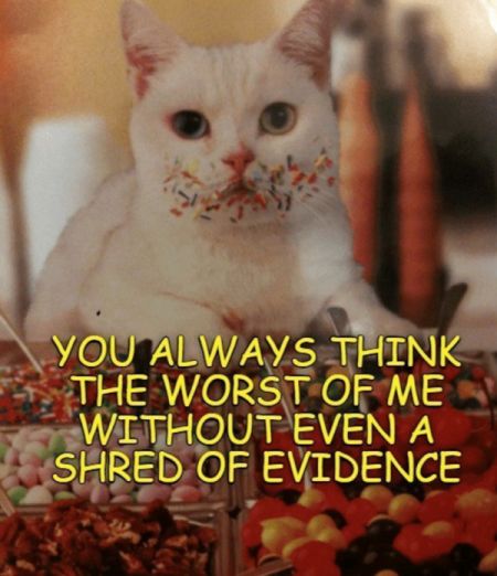 always-think-worst-without-even-shred-evidence-jpg.365748