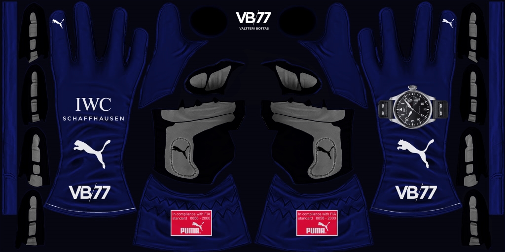 bottas_gloves-jpg.192272