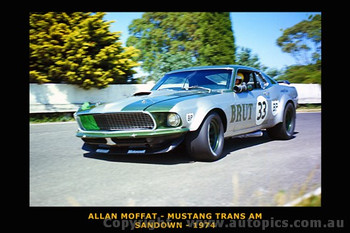 brutt_mustang__03291.1371885945.350.350.jpg