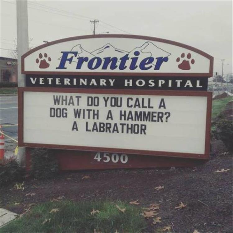 vet-signs-8.jpg