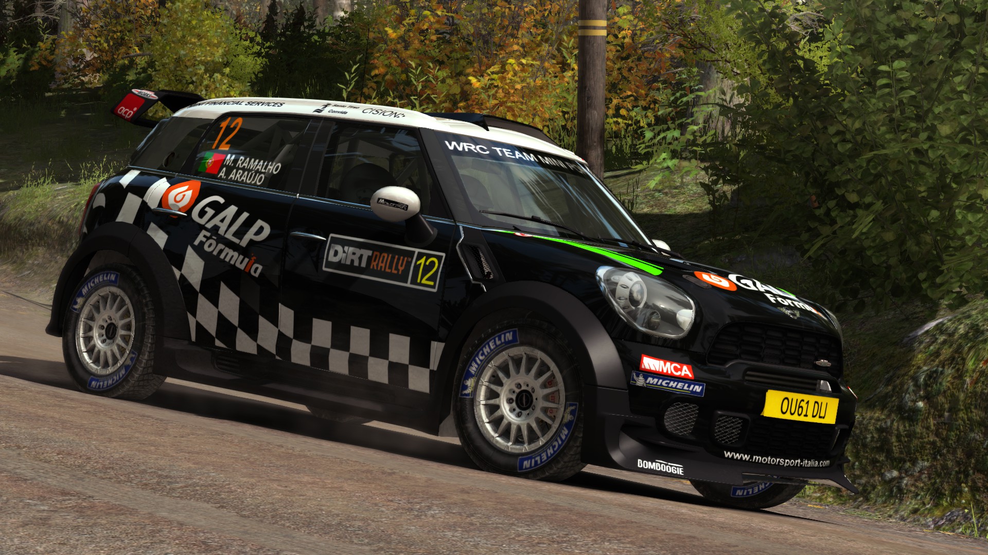 mini_2012_dirt_rally_01-jpg.115529