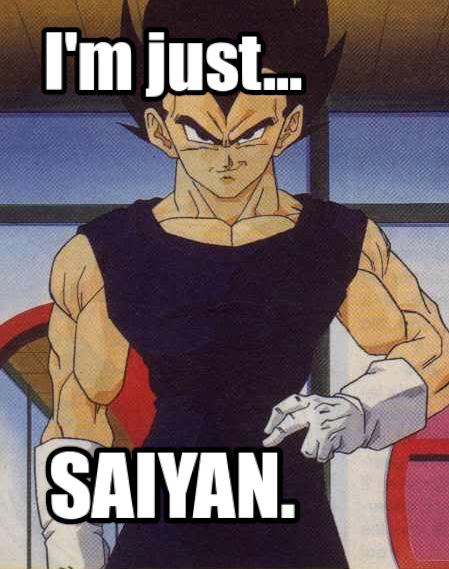 dbz-memes-dragon-ball-z-32173130-449-569.jpg